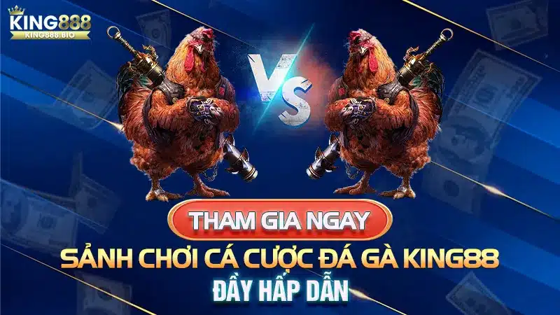 Tham Gia Ngay Sảnh Chơi Cá Cược Đá Gà King88 Đầy Hấp Dẫn