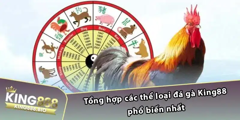 Tổng hợp các thể loại đá gà King88 phổ biến nhất